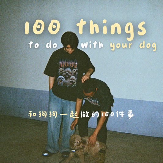 和狗狗一起做的100件事 🐶 創造快樂回憶