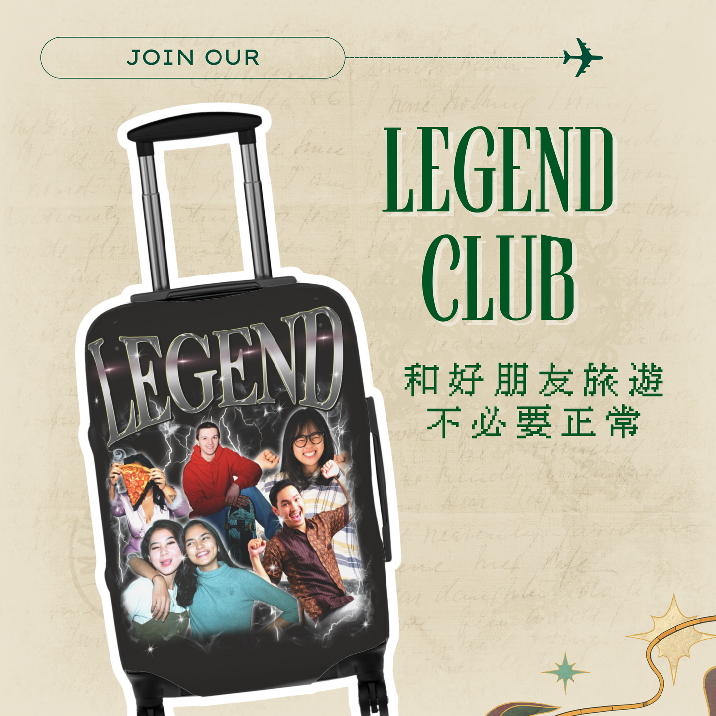 Customized suitcase protective cover for cats and pets